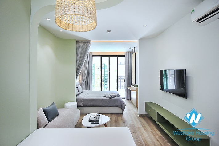 Nice Design Apartment for rent in Dang Thai Mai, Tay Ho